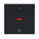 Busch-Jaeger Kontroll-Wippe mit Aufdruck Ein Aus anthrazit, Retail