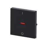 Busch-Jaeger Kontroll-Wippe mit Aufdruck Ein Aus anthrazit, Retail