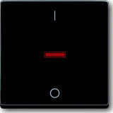 Busch-Jaeger Kontroll-Wippe mit Aufdruck Ein Aus anthrazit, Retail