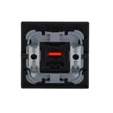 Busch-Jaeger Kontroll-Wippe mit Aufdruck Ein Aus anthrazit, Retail