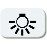 Busch-Jaeger Tastersymbol aws 2525 LI-214, Rahmen weiß, Retail