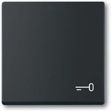 Busch-Jaeger Wippe mit Aufdruck schwarz, Retail