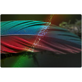 LG 65NU800B6LA.AEEQ, LED-Fernseher 165 cm (65 Zoll), schwarz, UltraHD/4K, Triple Tuner