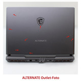 MSI Vector 17 HX A14VHG-1009, Gaming-Notebook Intel® Core™ i9-14900HX, NVIDIA GeForce RTX 4080, 32 GB DDR5, 1 TB (1 TB SSD), Windows 11 Home