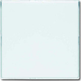 Busch-Jaeger Blindzentralscheibe stws 1576 CN-84, Zentralplatte weiß (glänzend), Retail