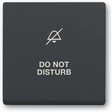 Busch-Jaeger Wippe mit Aufdruck anthrazit, Retail