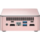GEEKOM A5 Champagne Edition, Mini-PC champagner, Windows 11 Pro