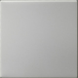 Gira Wippe einfach unbedruckt System 55 Bedienwippe Ersatz edelstahl, Retail