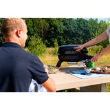 Napoleon Gasgrill TRAVELQ 240 schwarz