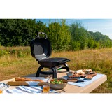 Napoleon Gasgrill TRAVELQ 240 schwarz