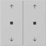 Gira Wippe zwei fach mit Pfeilsymbolen und Kontrollfenster lackiert matt grau, Retail