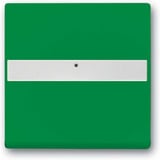 Busch-Jaeger Wippe grün, Retail