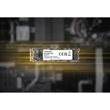 Intenso TOP 1 TB, SSD SATA 6 Gb/s, M.2 2280