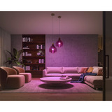 Philips HUE White Ambiance Starter-Set: E27 Lampe A60 Doppelpack + Dimmschalter, LED-Lampe 