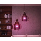 Philips HUE White Ambiance Starter-Set: E27 Lampe A60 Doppelpack + Dimmschalter, LED-Lampe 