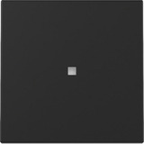 Gira Wippe mit Kontrollfenster lackiert schwarz, Retail