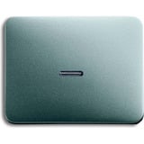 Busch-Jaeger Kontroll-Wippe Aus Wechselschalter Kreuzschalter Taster titan, Retail