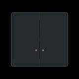 Busch-Jaeger Wippe mit zwei Wippenhälften schwarz, Retail