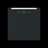 Busch-Jaeger Zentralscheibe Cardschalter Radiofrequenz-Identifikation 1792 RFID-45M, Abdeckung schwarz, Retail