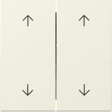 Gira Wippe zweifach mit Pfeilsymbolen weiß, Retail