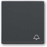 Busch-Jaeger Wippe mit Aufdruck anthrazit, Retail