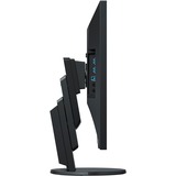 EIZO EV2456-BK, LED-Monitor 61.1 cm (24.1 Zoll), schwarz, WUXGA, IPS, HDMI, DisplayPort, DVI, VGA