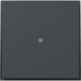 Gira Wippe gerade Kontrollfenster anthrazit, Retail