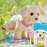 ZAPF Creation BABY born Mein Hund Lucky mit Box, Spielfigur 