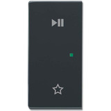 Busch-Jaeger Wippe anthrazit, Retail