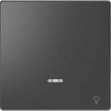 Merten Wippe mit Kontrollfenster anthrazit, Retail