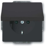 Busch-Jaeger Schutzkontaktsteckdose Einsatz Typ F 20 EUKB-81 anthrazit, Retail