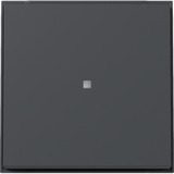 Gira Wippe mit Kontrollfenster Diebstahlschutz durch optional verschraubbares Klemmstück anthrazit, Retail