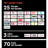 HD+ HD+ Modul inkl. HD+ Sender-Paket für 6 Monate, Smartcard 