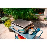 Campingaz Master Plancha EX, Gasgrill silber, Modell 2020
