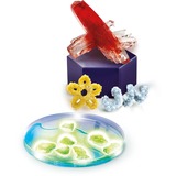 Clementoni Kristalle selbst züchten Mega, Experimentierkasten 