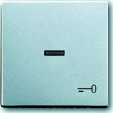 Busch-Jaeger Wippe mit Symbol Schlüssel 1789 TR-83 Retail