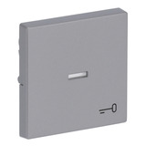 Busch-Jaeger Wippe mit Symbol Schlüssel 1789 TR-83 Retail