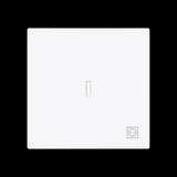 Busch-Jaeger Wippe mit Symbol Stecker mit transparenter Kalotte weiß, Retail