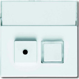 Busch-Jaeger Zentralscheibe 1572 CN-84, Abdeckung Retail