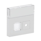 Busch-Jaeger Zentralscheibe 1572 CN-84, Abdeckung Retail