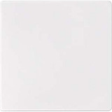 Merten Sensorfläche AQUADESIGN mit Kurzhubtaste, Schutzart IP44, Typ 573819, Zentralplatte weiß (glänzend), Retail