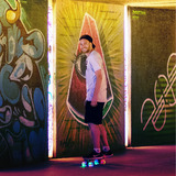 Schildkröt Retro Skateboard Free Spirit Camouflage 