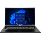 TERRA MOBILE 1716R i5-1334U W11P, Notebook dunkelgrau, Intel® Core™ i5-1334U, Intel® Iris® Xe Graphics geeignet, 16 GB DDR4, 500 GB (500 GB SSD), Windows 11 Pro