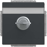 Busch-Jaeger Schutzkontakt-Steckdosen-Einsatz anthrazit, Retail