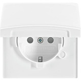Busch-Jaeger Schutzkontakt-Steckdoseneinsatz Schuko IP44 mit erhöhtem Berührungsschutz, Unterputz weiß (glänzend), Retail