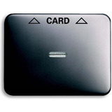 Busch-Jaeger Zentralscheibe für Cardschalter, Abdeckung platin, Retail