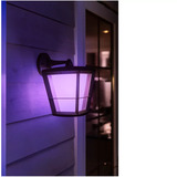 Philips White & Color Ambiance Econic Outdoor hängende Wandleuchte, LED-Leuchte schwarz