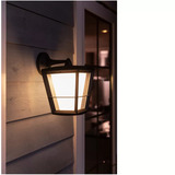 Philips White & Color Ambiance Econic Outdoor hängende Wandleuchte, LED-Leuchte schwarz