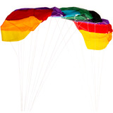 Schildkröt Dual Line Sport Kite 1.6, Lenkdrachen 