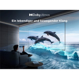 TCL 55PF650A, LED-Fernseher 140 cm (55 Zoll), schwarz, UltraHD/4K, Triple Tuner, FireTV OS 8